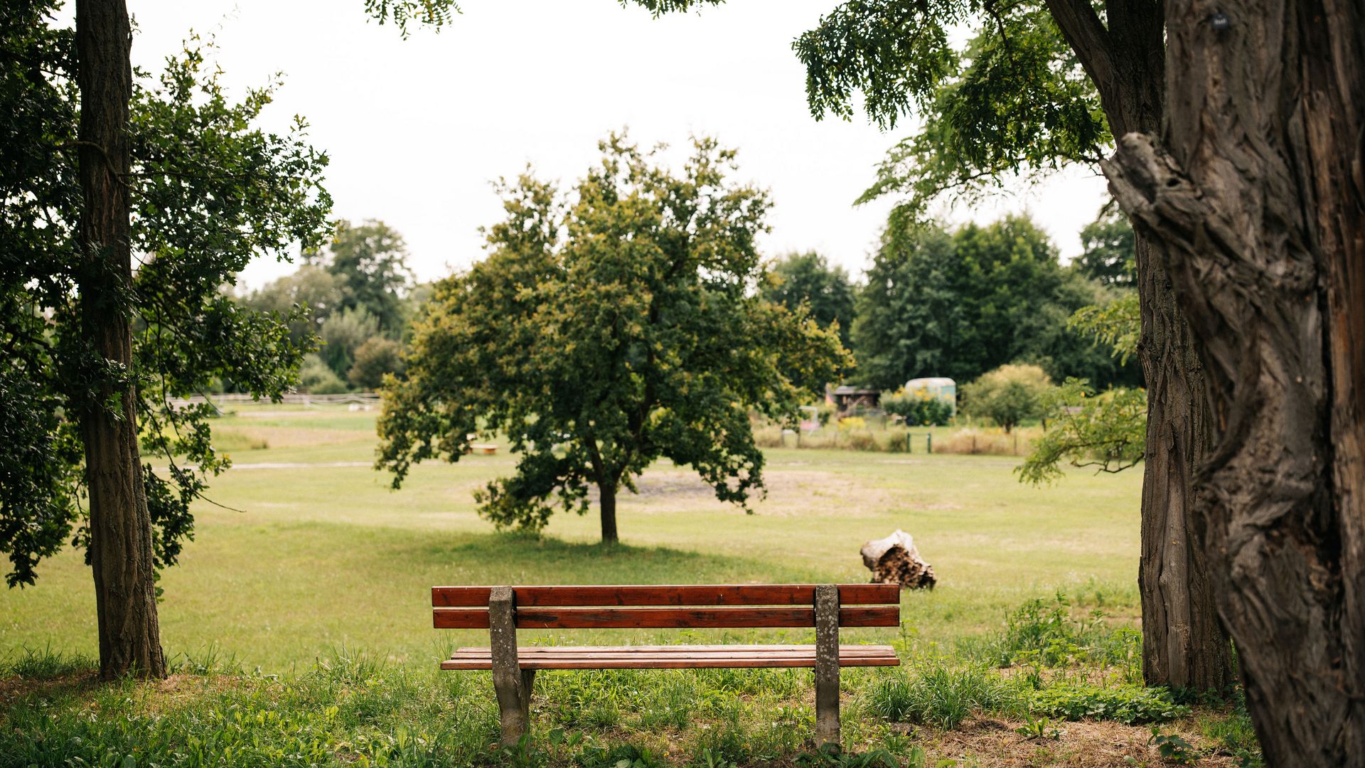 Bank mit Ausblick auf eine Wiese in Paretz