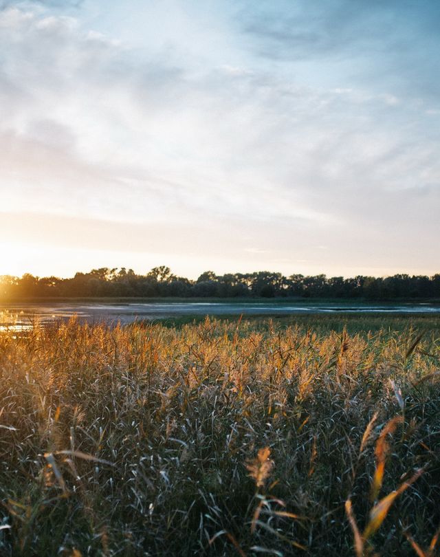 Sonnenuntergang über den Fischteichen in Messdunk